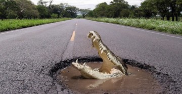 дтп по вине дорожных служб